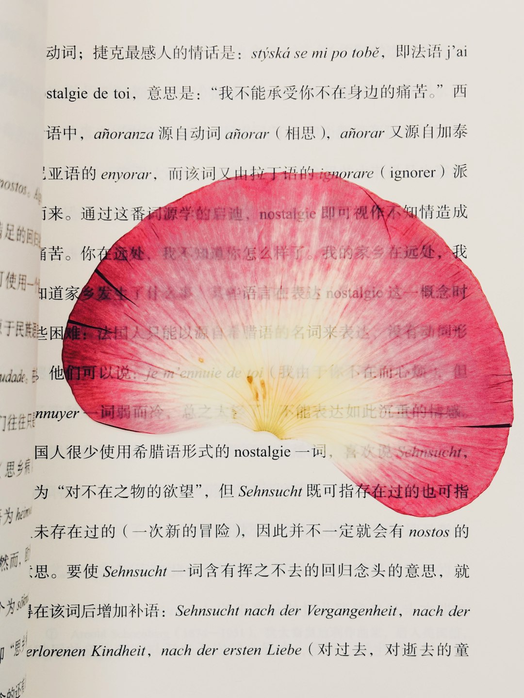 AI Prompting Techniques